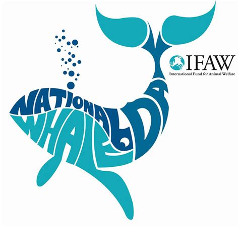 National Whale Day: A day of action against Japanese whaling | IFAW ...