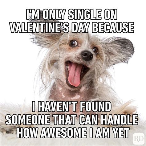 Valentine’s Day 2022 Jokes, Funny Memes, Images, Quotes for Singles ...