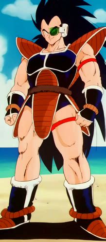 Raditz “Brother Of Son Goku” – SON GoKu