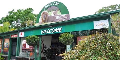 Mogo Wildlife Park 2025 | Best-tickets.com.au