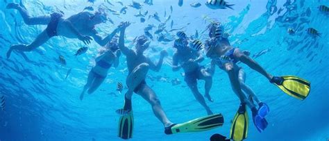 Cozumel Palace Snorkeling Water Activities | Honeymoons Inc