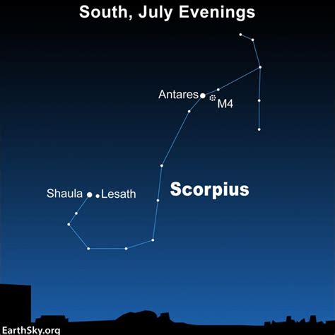 EarthSky | Scorpius the Scorpion is a summertime delight