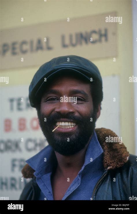 HILL STREET BLUES (TV) TAUREAN BLACQUE HSBL 010 Stock Photo - Alamy