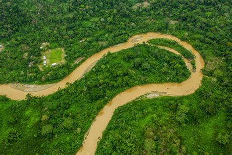 Protecting the Amazon Rainforest from Oil Exploitation: Combining ...