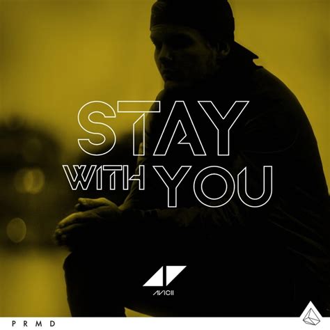 Avicii – Stay With You Lyrics | Genius Lyrics