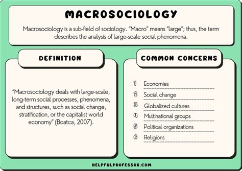 Macrosociology: Definition and 6 Great Examples (2024)