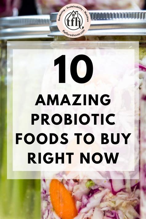 The Top 10 Vegan Probiotic Foods to Eat