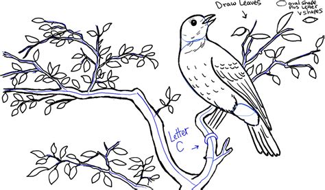 How to Draw a Bird in a Tree in Front of Rolling Hills Landscape Drawing Tutorial - How to Draw ...