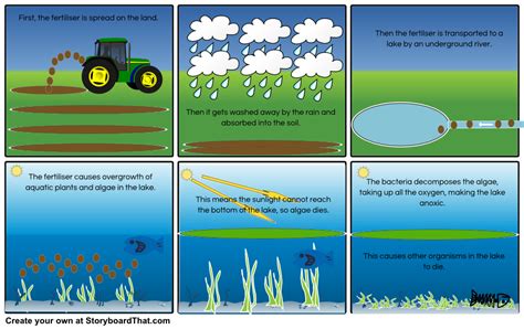 The Eutrophication Process storyboard by: quenton4 | WATER QUALITY | Pinterest | Storyboard ...