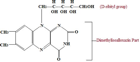 Vitamin B2 (Riboflavin) - Occurrence, Biochemical Role & Deficiency Effects