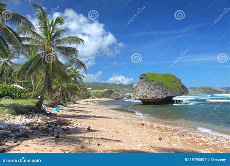 Bathsheba Beach, Barbados stock image. Image of landscape - 19798807