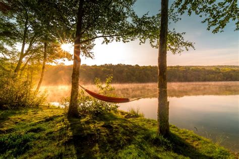 When Does a Pond Become a Lake? (4 Ways They Differ) - My Backyard Life