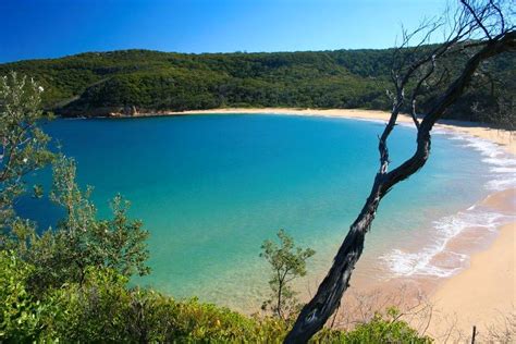 Maitland Bay Track & Shipwreck, The Central Coast NSW (20 minutes drive). | Sydney beaches ...