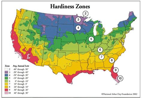 Hardiness Zone Map – Quicktrees