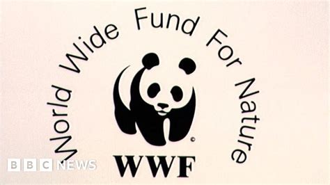 WWF accused of funding guards who torture and kill in poaching war - BBC News