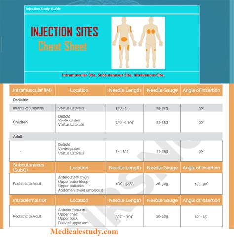 3 Types of injection Sites Cheat Sheet | Nursing school survival, Intramuscular injection sites ...