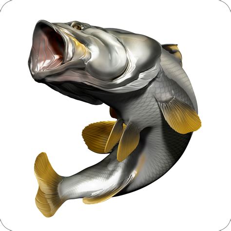 BARRAMUNDI 5 – Digital Fish Art