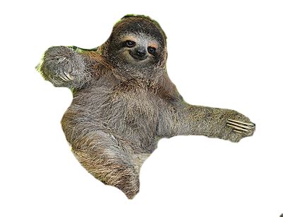 Free Sloth Transparent, Download Free Sloth Transparent png images ...