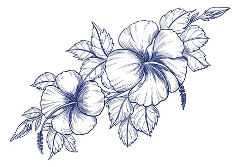 Flowers Drawing Images | Best Flower Site