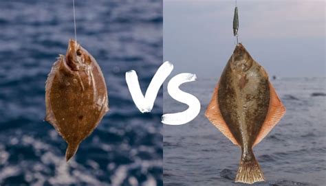 Sole vs Flounder: What's the difference in taste and nutrition?