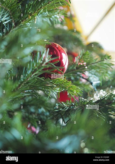 Christmas tree, red baubles Stock Photo - Alamy