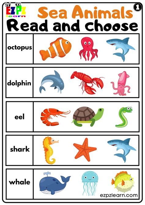 Sea Animals Read And Choose Worksheet For Kids And Esl Set 1 – NBKomputer