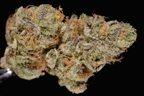 Girl Scout Cookies (marijuana review) - The Cannabist