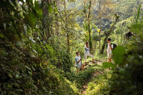 Jungle Trekking - Padma Resort Ubud