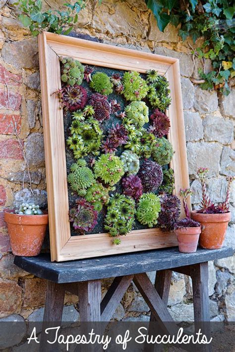 DIY Succulent Wall Planter | Empress of Dirt