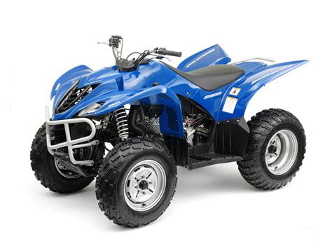 2008 YAMAHA Wolverine 350 ATV pictures, review, specifications