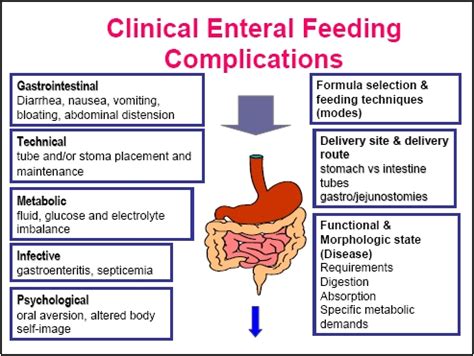 Enteral Nutrition Formulas | Besto Blog