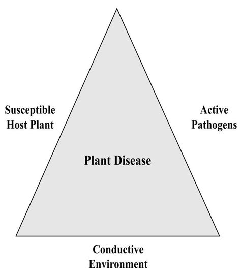 Plant disease triangle and affecting factors | Download Scientific Diagram