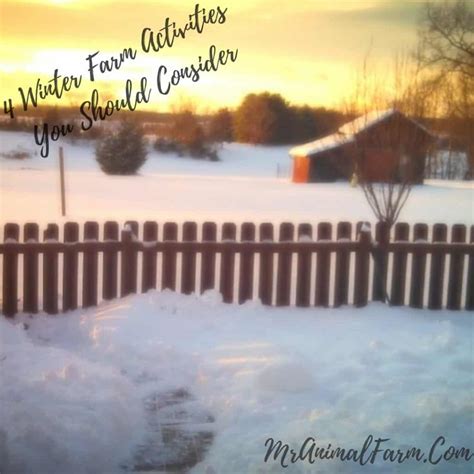 Winter Farm Activities You Should Consider Trying - Mranimal Farm