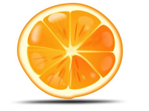 Orange slice (102018) Free SVG Download / 4 Vector