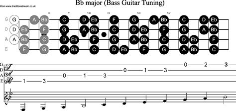 Bass Guitar Scale Bb