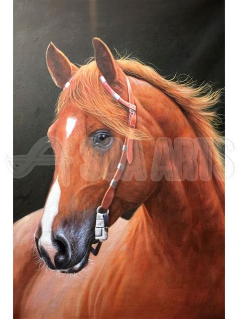 Brown Horse 1 | Brown horse, Horses, Animal paintings