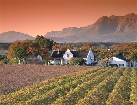 Cape Winelands - African Special Tours