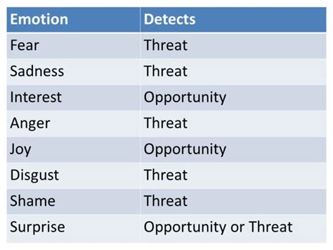 Primary and secondary emotions (With examples)