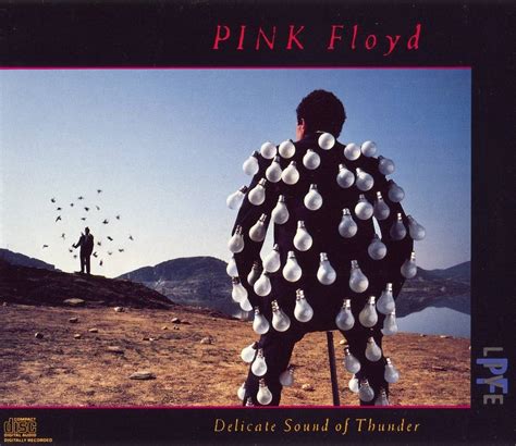 Pink Floyd - Delicate Sound Of Thunder (1988) / AvaxHome