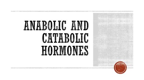 Anabolic and Catabolic Hormones - YouTube