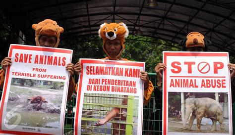 Aktivis Minta Kebun Binatang dan Taman Safari Stop Eksploitasi Hewan ...