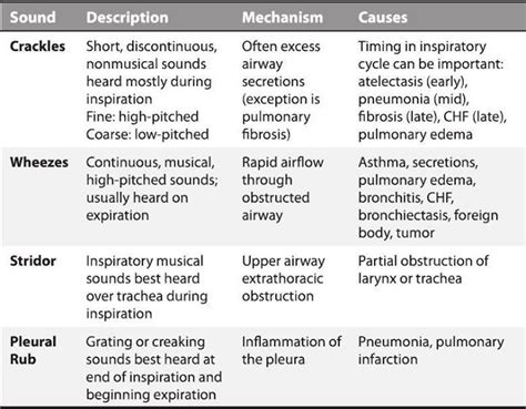 Pin on Respiratory - Nursing School