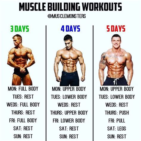 Muscle Building Workouts By @musclemonsters _ There is no best workout routine only best ...