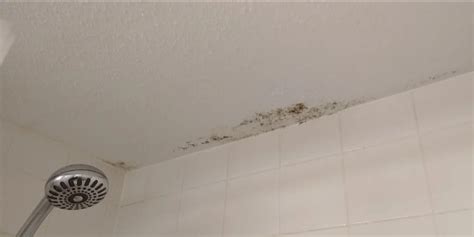 Mold On Bathroom Ceiling - How To Remove Mold From Ceilings?