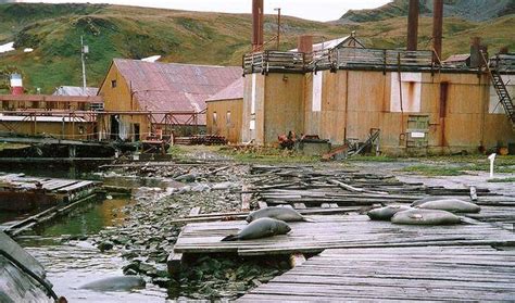 8 Ghost Towns & Abandoned Settlements of Antarctica | Urban Ghosts