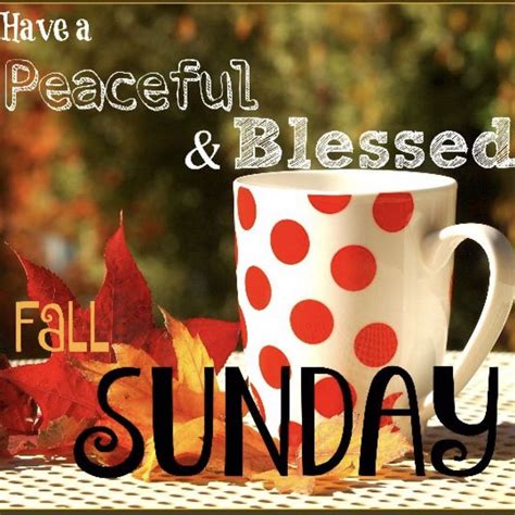 ️ ️ ️ #fall #sunday #blessings | Sunday greetings, Good morning happy ...