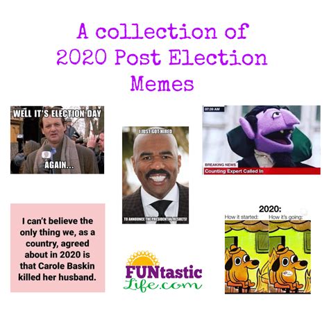 A Collection of 2020 Post Election Memes - Funtastic Life