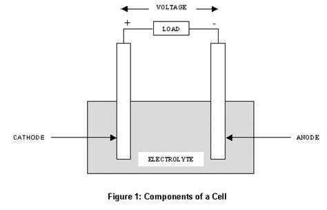 The Relationship Between a Cathode and an Anode Involves