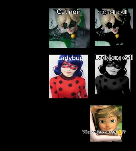 evil ladybug and Cat noir by Hawke mouth | Fandom