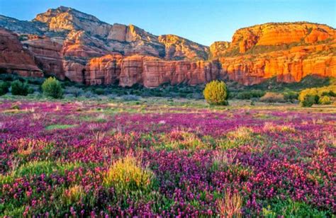 What Is A Vortex in Sedona | Visit Sedona